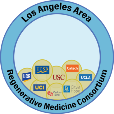 Stem cell consortium logo